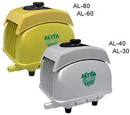 Alita Luftpumpe High-Blow AL-60, 60l/min bei 1,5 Meter, 18mm Ausgang, 54 Watt, Grün