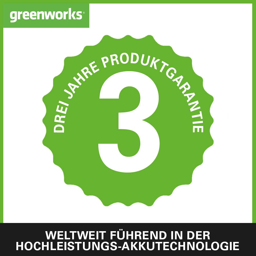 Greenworks G24FAN Akku-Hybrid-Ventilator mit Haken zum Aufhängen, 25,4cm Durchmesser, 2600 U/min, 5 Geschwindigkeitsstufen, 360° drehbarer Kopf, kompatibel mit AC-Kabel, OHNE 24V Akku & Ladegerät