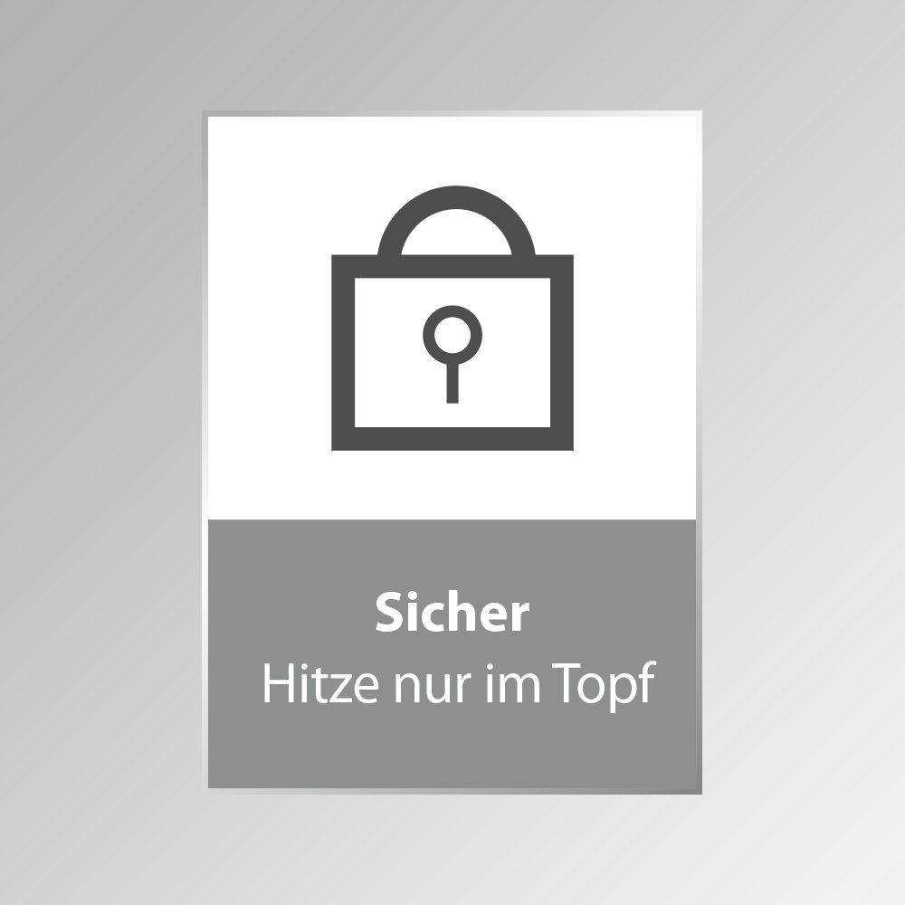 CASO Master E2 Induktionskochfeld, Testsieger Haus & Garten Test, Einbaukochfeld mit 2 Kochzonen, max. 2000-3500 Watt, Booster, Timer von 1-99 Min., Töpfe bis 26 cm