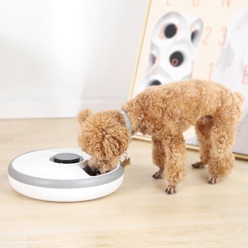 Amazon Basics - Automatischer Futterspender mit Kühlpack, 31.5 x 31.5 x 8.3 cm, weiß